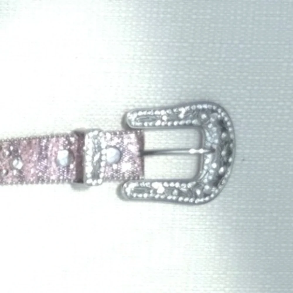 Rhinestone‎ Belt Pink Silver Western Cowgirl Bling Sparkle Women's Fashion